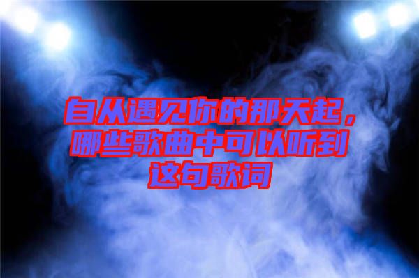 自從遇見你的那天起，哪些歌曲中可以聽到這句歌詞