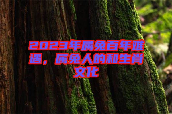 2023年屬兔百年難遇，屬兔人的和生肖文化