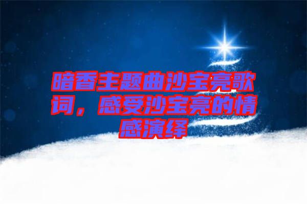 暗香主題曲沙寶亮歌詞，感受沙寶亮的情感演繹