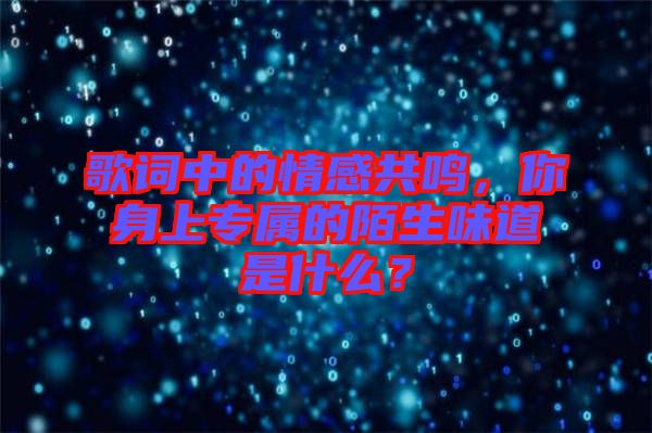 歌詞中的情感共鳴，你身上專屬的陌生味道是什么？