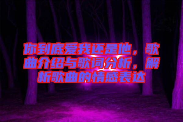 你到底愛(ài)我還是他，歌曲介紹與歌詞分析，解析歌曲的情感表達(dá)