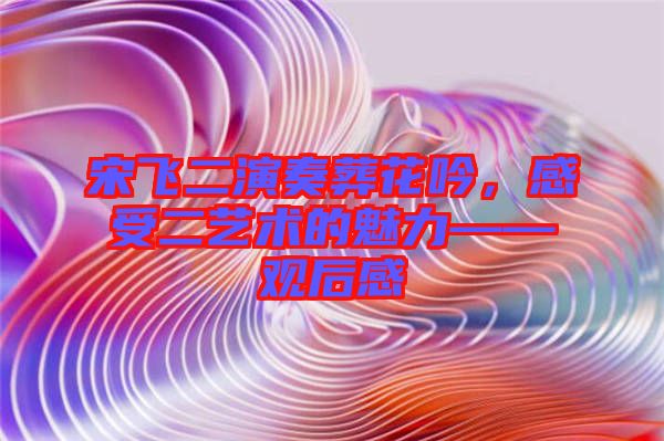 宋飛二演奏葬花吟，感受二藝術(shù)的魅力——觀后感