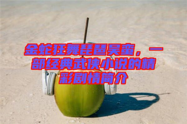 金蛇狂舞琵琶吳蠻，一部經(jīng)典武俠小說的精彩劇情簡介