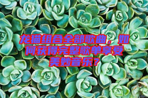 龍貓組合全部歌曲，如何獲得完整歌單享受美妙音樂？