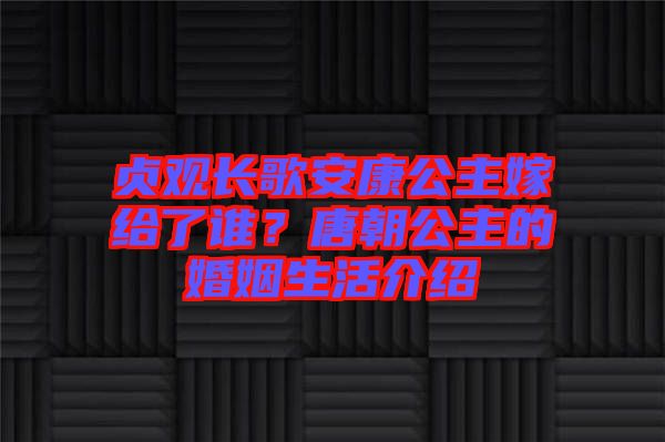 貞觀長(zhǎng)歌安康公主嫁給了誰？唐朝公主的婚姻生活介紹