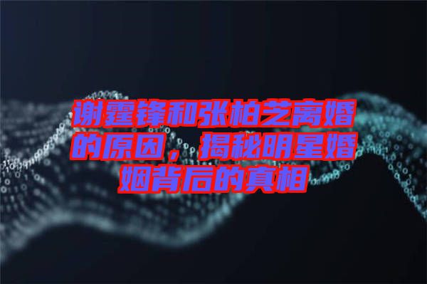 謝霆鋒和張柏芝離婚的原因，揭秘明星婚姻背后的真相