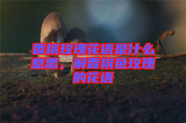 香檳玫瑰花語(yǔ)是什么意思，解香檳色玫瑰的花語(yǔ)