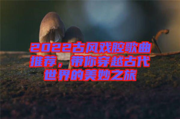 2022古風(fēng)戲腔歌曲推薦，帶你穿越古代世界的美妙之旅