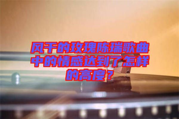 風(fēng)干的玫瑰陳瑞歌曲中的情感達(dá)到了怎樣的高度？