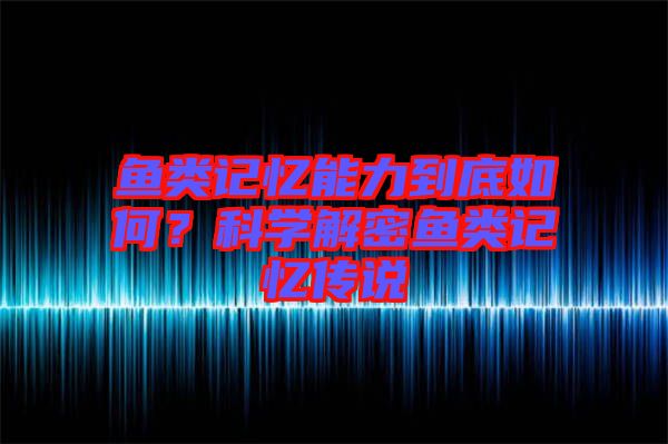 魚(yú)類(lèi)記憶能力到底如何？科學(xué)解密魚(yú)類(lèi)記憶傳說(shuō)