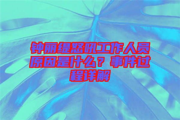 鐘麗緹怒吼工作人員原因是什么？事件過程詳解