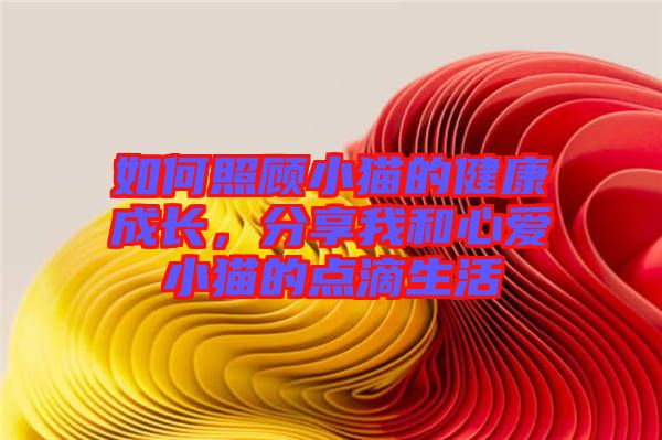 如何照顧小貓的健康成長，分享我和心愛小貓的點滴生活