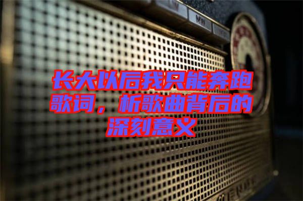 長(zhǎng)大以后我只能奔跑歌詞，析歌曲背后的深刻意義