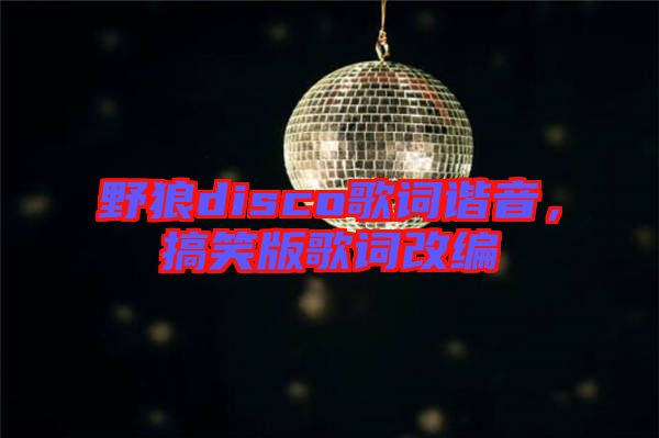 野狼disco歌詞諧音，搞笑版歌詞改編