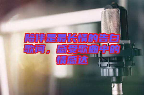 陪伴是最長情的告白歌詞，感受歌曲中的情感達(dá)